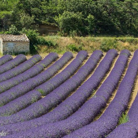 Gite Marius Mirabel-aux-Baronnies Esterno foto